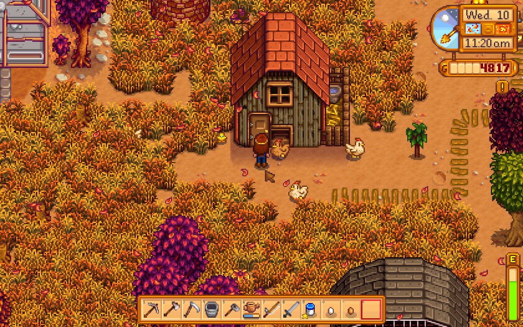 golden chicken stardew