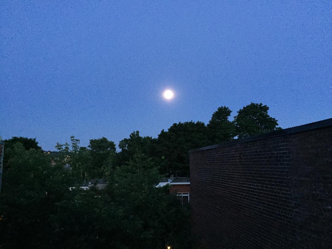 An image of the view of the full moon in the early morning of the summer solstice from the top of a building. There are some dark trees and silhouettes of buildings, but mostly the picture is of a striking dark blue sky and a bright silver moon in the sky.