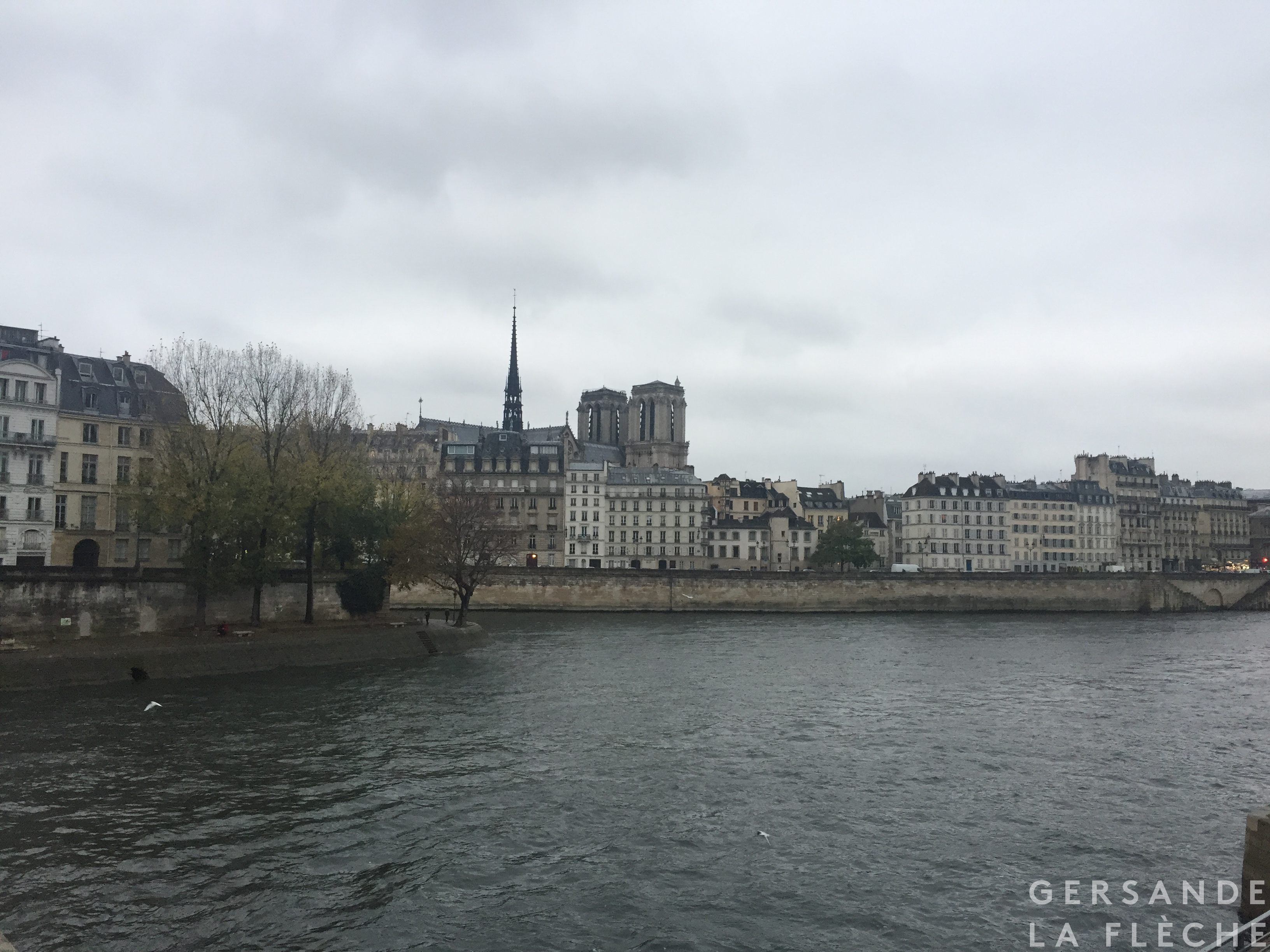 The view of Notre Dame de Paris across the river from Île Saint-Louis and Île de la Cité.