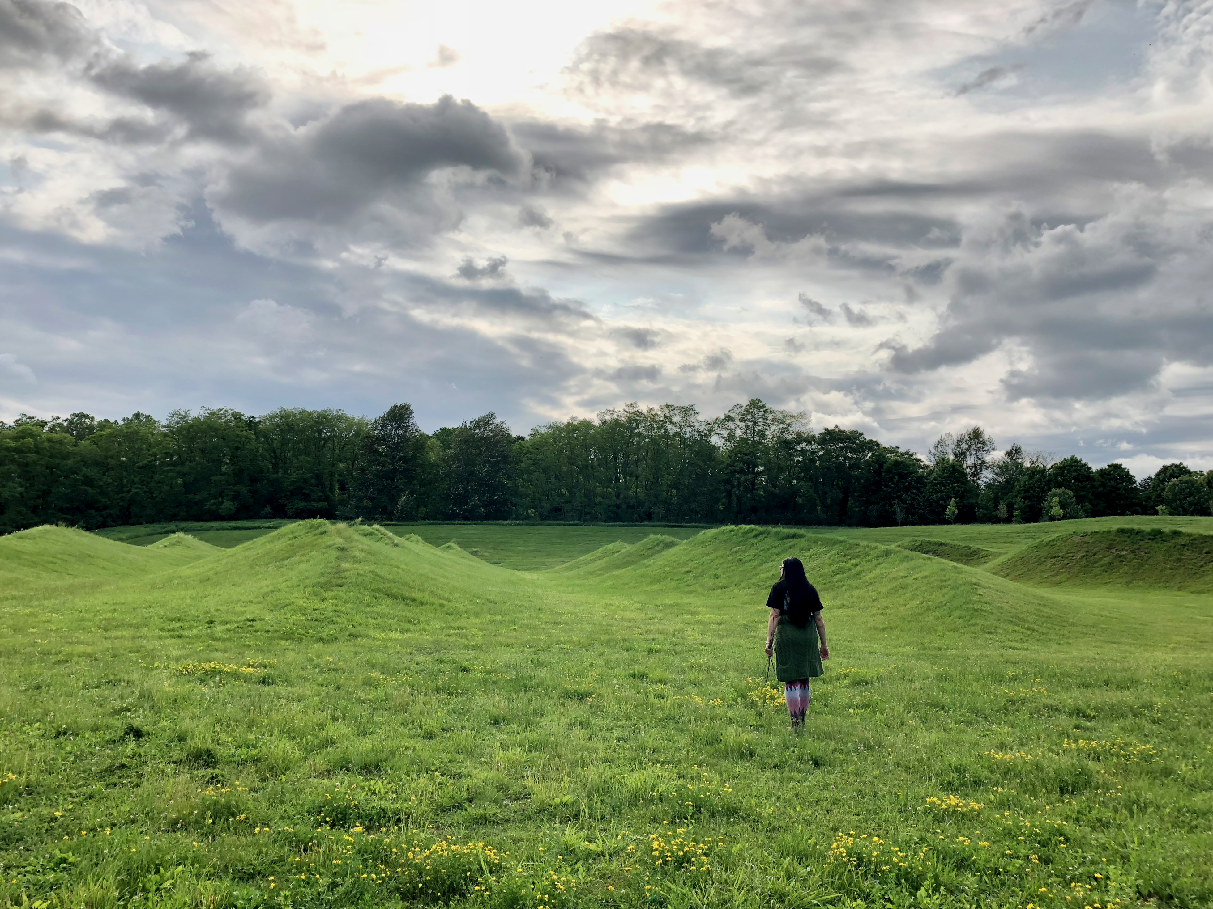 My favourite sculpture, embedded in the landscape itself, a sculpture of wavy hills by Maya Lin.