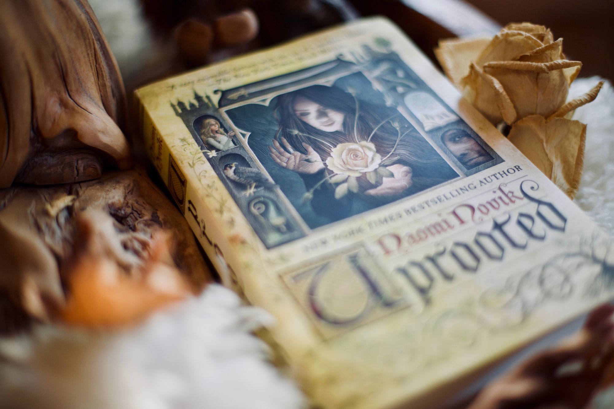 A close-up photo of Uprooted, a book by Naomi Novik. Next to it is a dried rose.