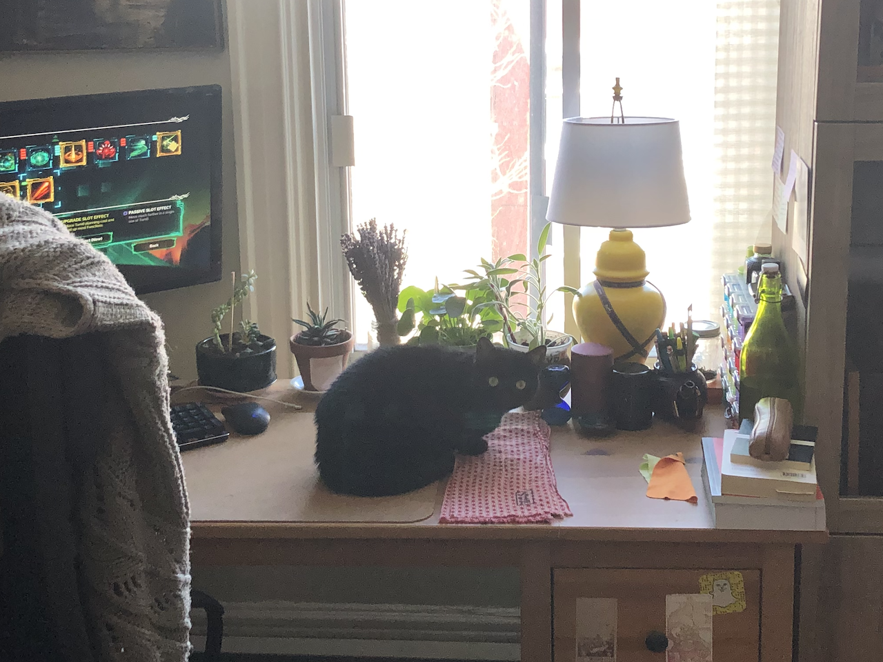 A photo of my black cat Luna sitting on my desk. 
