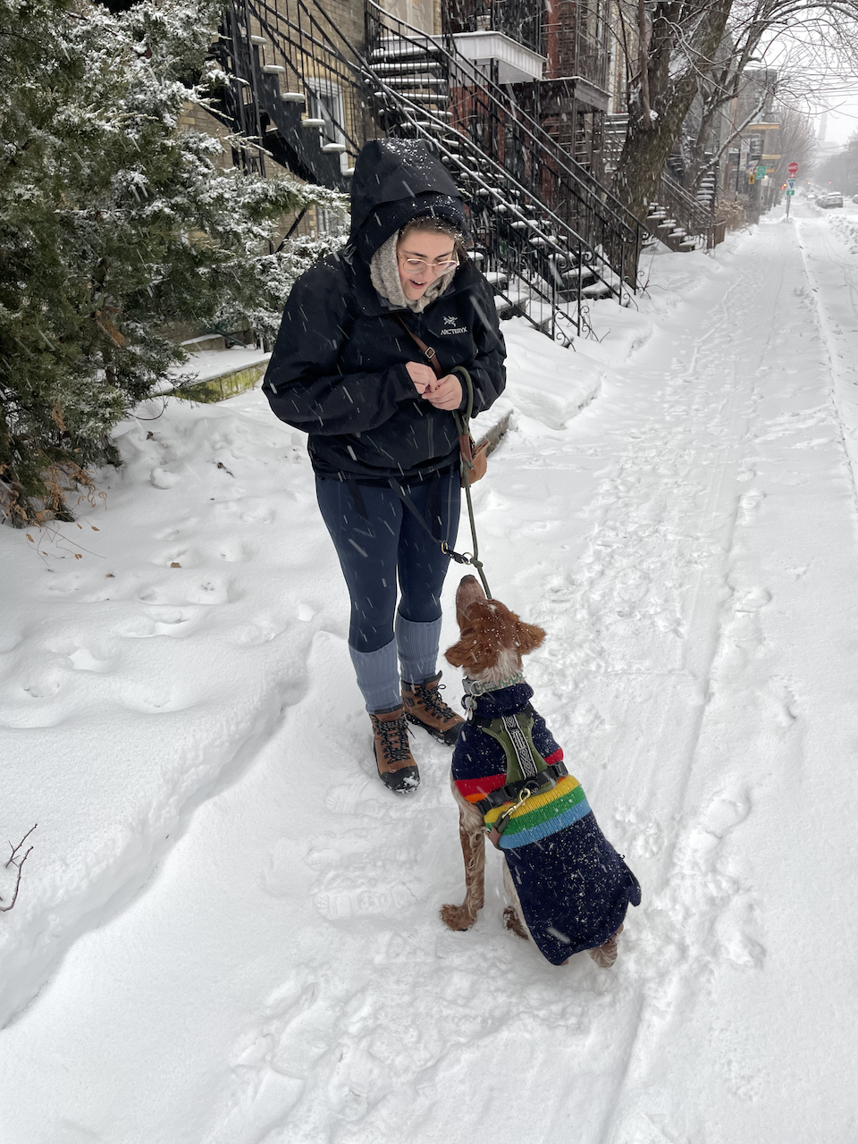 Our first winter with Pippin, in photos