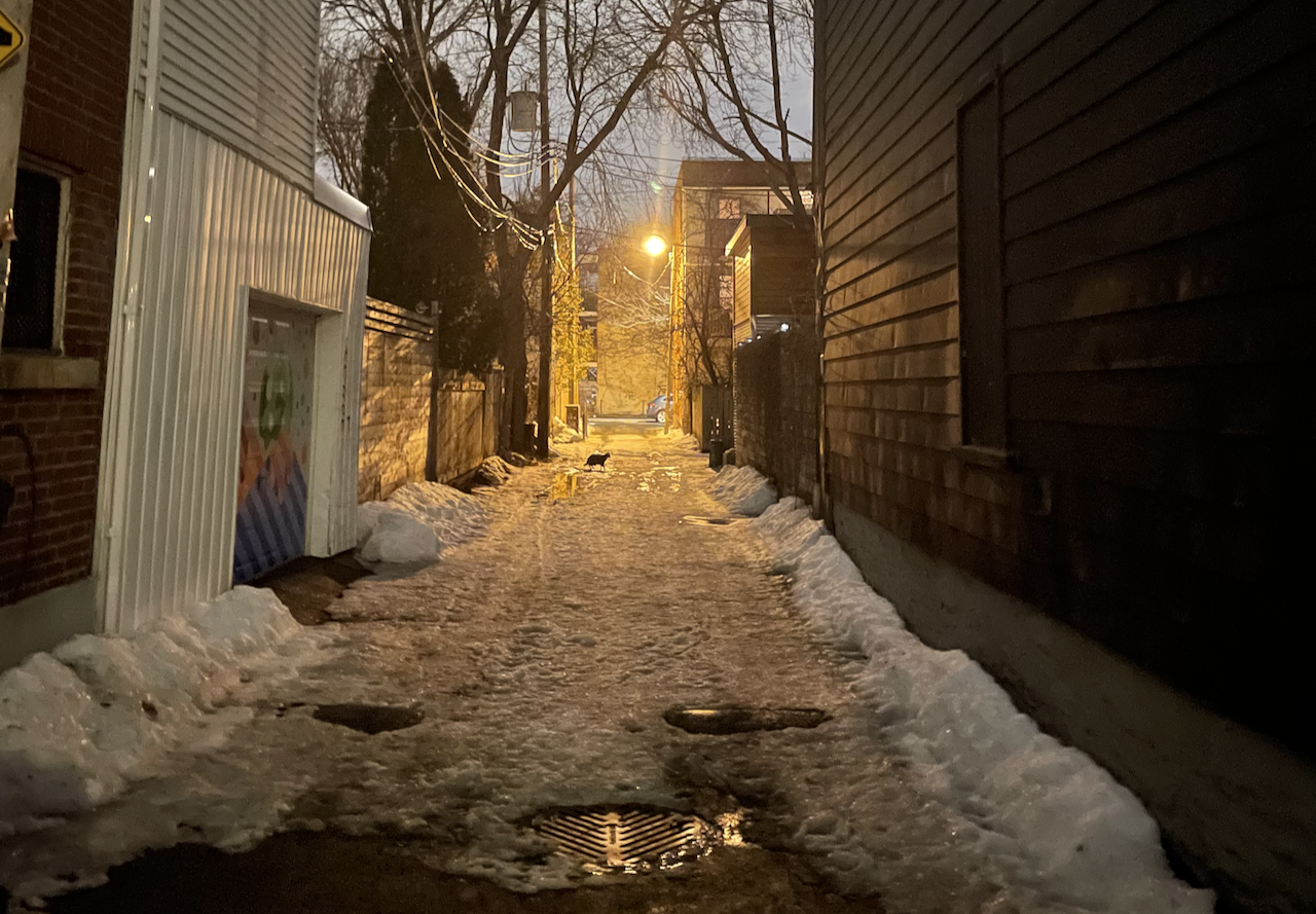 A photo of an alleyway in late march after dusk, full of snow still, and a black cat visible in the light of a lantern.