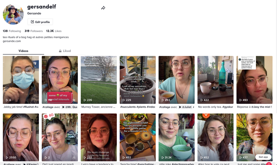 A screencap of my TikTok profile in the browser.
