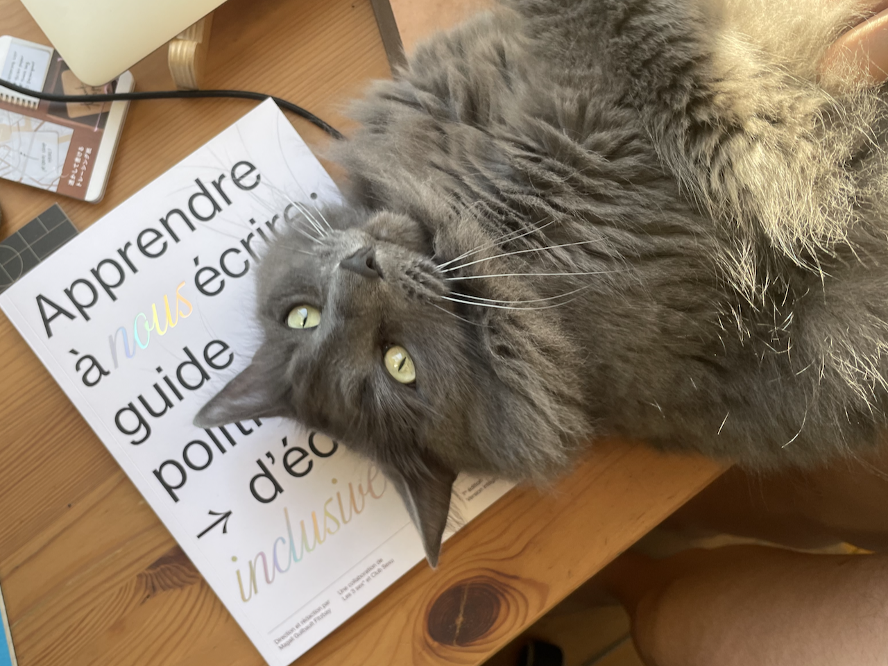 Une photo de la couverture du livre Apprendre à nous écrire, mais avec un gros chat gris qui longe dessus.